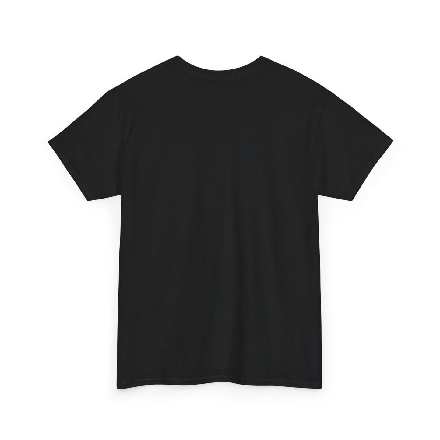 "Need Money for House" - Heavy Cotton Tee