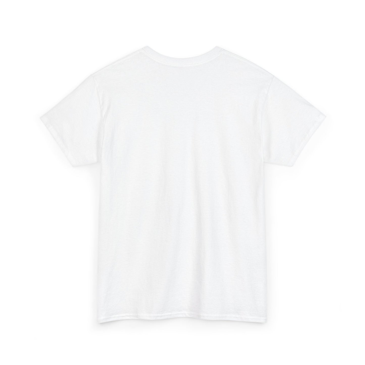 "Need Money for House" - Heavy Cotton Tee